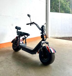 2021 Electric Motion Sport